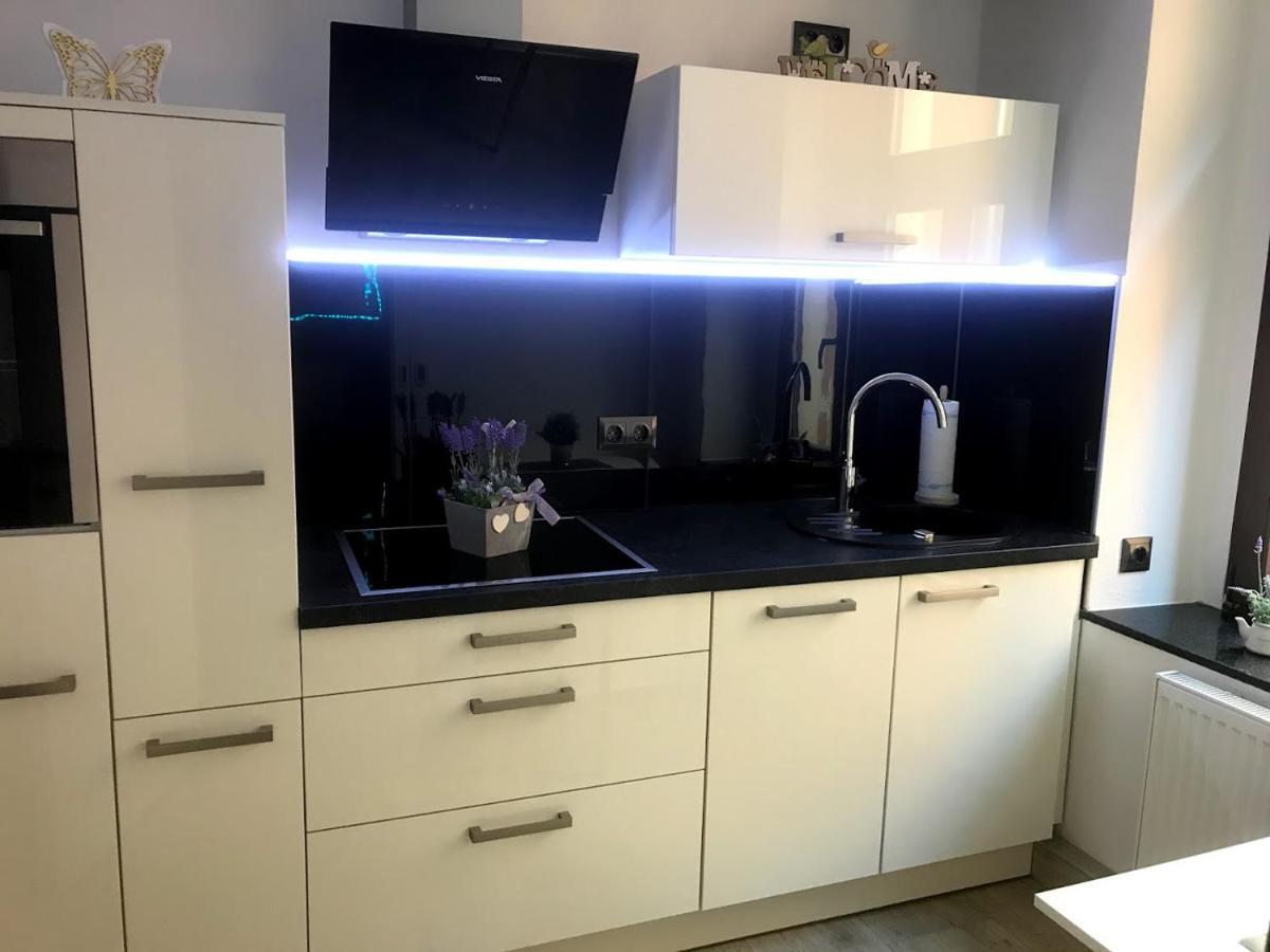 Salzhausblick Business Apartments - Zentrale Lage Am Salzhaus - Mwst-Rechnung Verfuegbar 齐陶 客房 照片