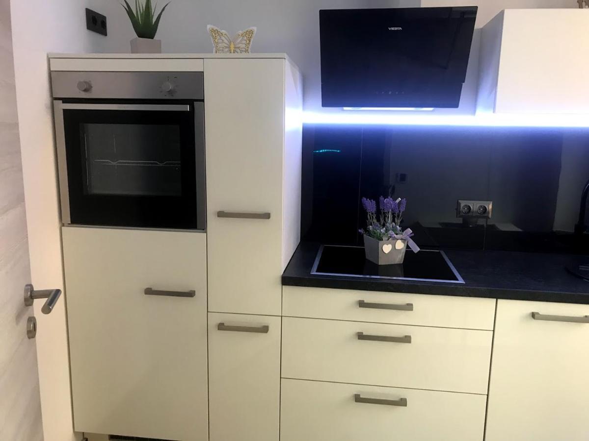 Salzhausblick Business Apartments - Zentrale Lage Am Salzhaus - Mwst-Rechnung Verfuegbar 齐陶 客房 照片